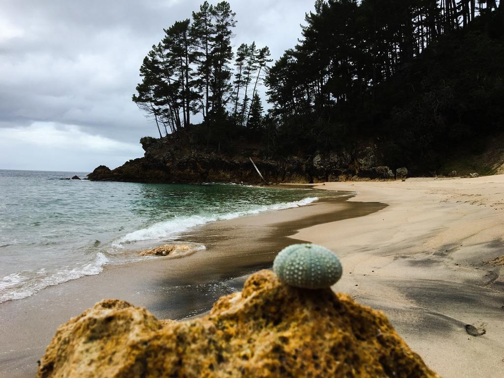 Whangamata Vistas B&B Экстерьер фото